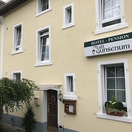 Pension Alt-Gunsenum Mainz Dış mekan fotoğraf